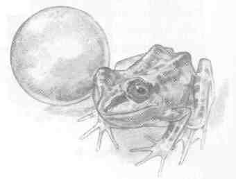 Nanny Ogg's Cookbook-61.jpg